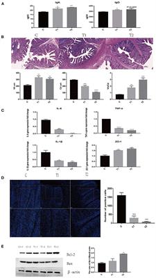 Citric Acid Promoting B Lymphocyte Differentiation and Anti-epithelial Cells Apoptosis Mediate the Protective Effects of Hermetia illucens Feed in ETEC Induced Piglets Diarrhea